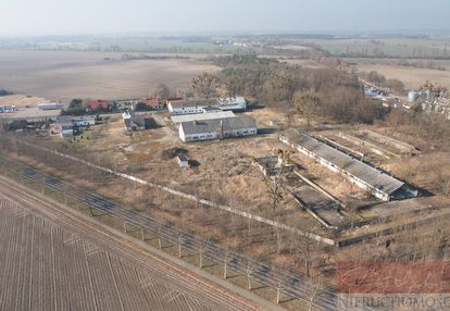 Z potencjałem przy drodze 187 i obwodnicy szamotuł