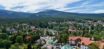 Lokal mieszkalny w centrum miasta