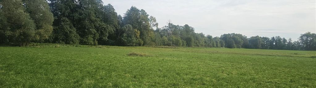 Cholerzyn, piękna działka budowlana blisko lasu !