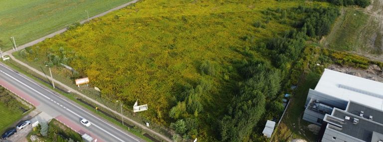 Działka usługowa 350 zł/m² - 16 000 m2.
