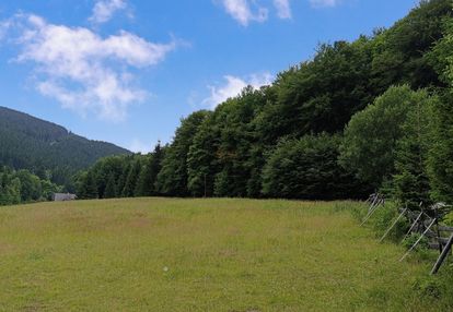Działka mn/ut 13.890 m2 przy jaskini niedźwiedziej