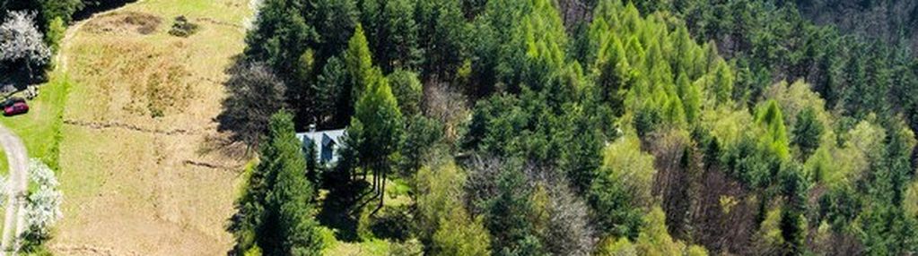 Na sprzedaż gospodarstwo rolne w jastrzębi