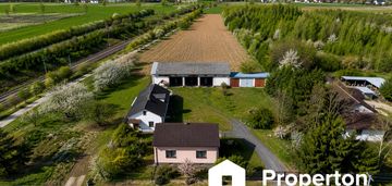 Gospodarstwo sadownicze 6,86 ha franciszków