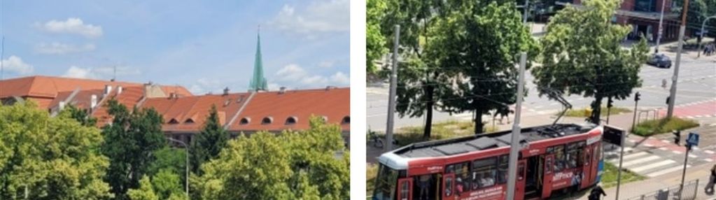 3 poik. rozkład powstańców śl. - hallera