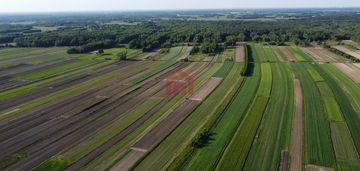 Działka leśna – 2.28ha w cenie zł za 1 m2, zasów - gmina żyraków3