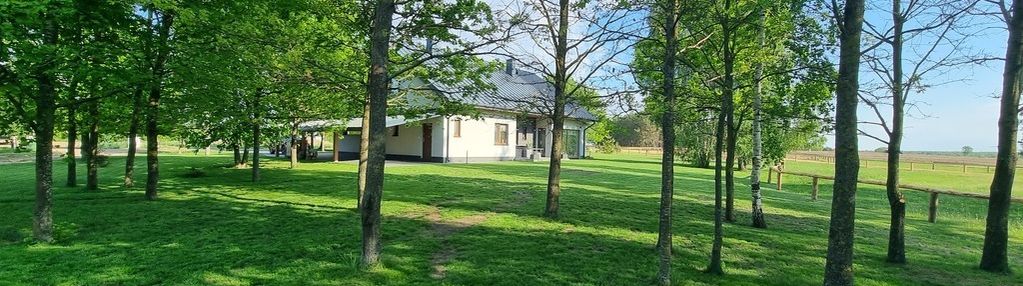 Nieruchomość nad rzeką nettą