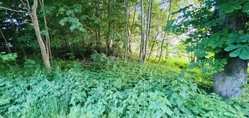 Działka na sprzedaż w pięknym miejscu! gołębiewo