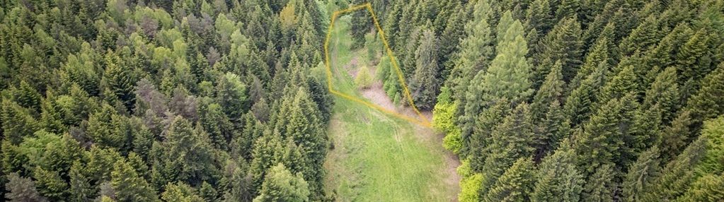 Działka rolna w krzeszowie