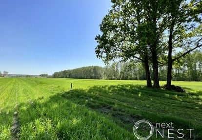 Piękna działka zabudowa jednorodzinna zadębie