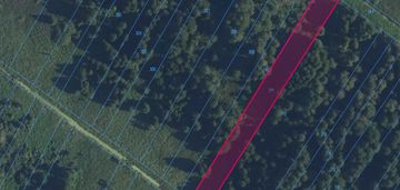 Sprzedam działki leśne w borkach-kosy