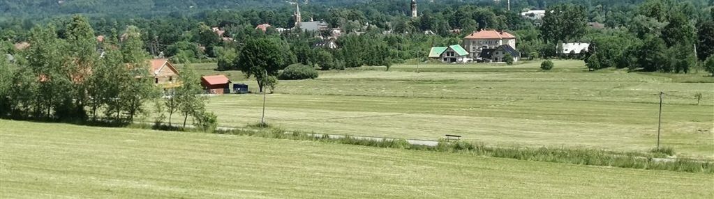 Duża, widokowa działka z lasem w miłkowie