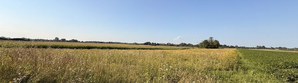 98 arów – przestrzeń z dużym potencjałem