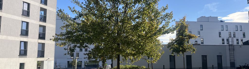 Nowa cena | naprawdę przestronne!