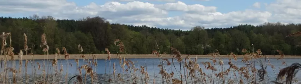 Działka na sprzedaż 3497m2