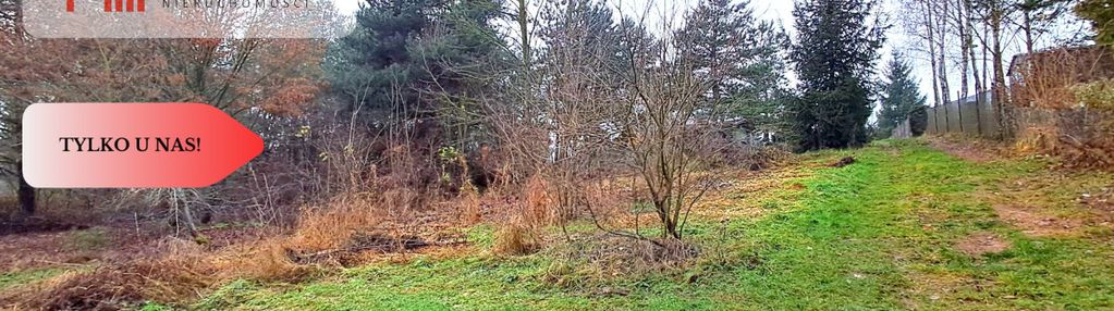 Niewielka działka w okolicy lasu i jeziora
