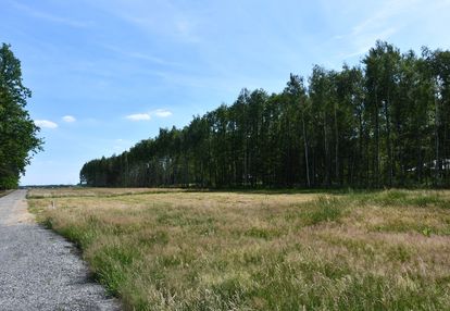 Działki 10a pod zabudowę pod lasem- widełka