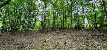 Działka budowlana przy lesie oraz strumyku