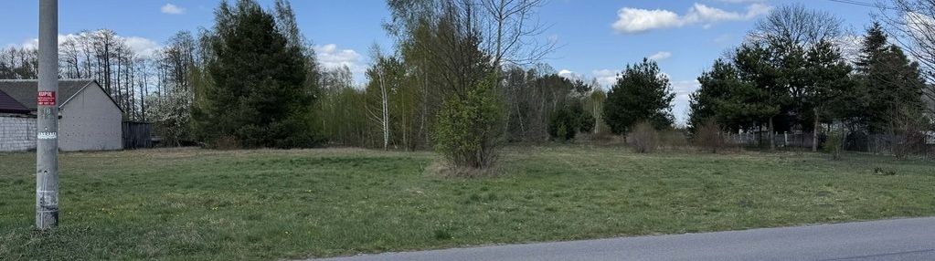 1,47 ha działka budowlano-rolna z lasem