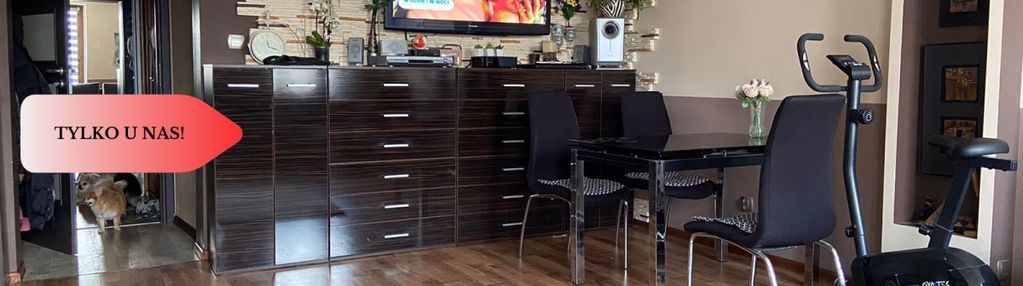 „103 m² klimatu w sercu oleśnicy – mieszkanie w ka