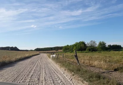 Działka na sprzedaż 4000m2