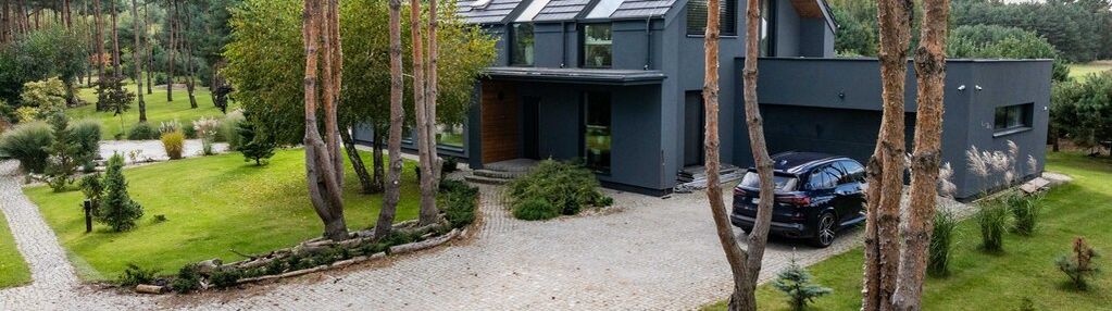 Wyjątkowa posiadłość w wilkowyi koło  jarocina