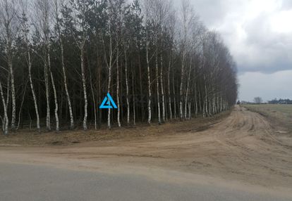 Działka leśna w borach tucholskich