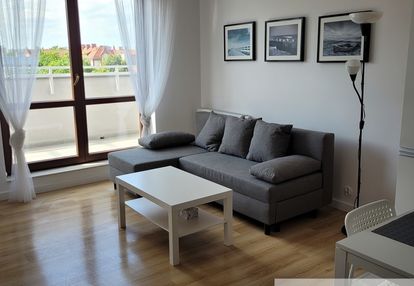 Nowe miasto / apartament na wynajem