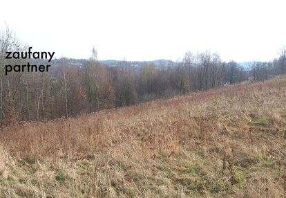 Działka budowlana koło lasu