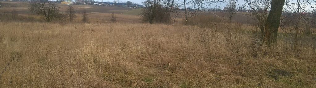 Dzialka 3260m2 w brześciu kuj.