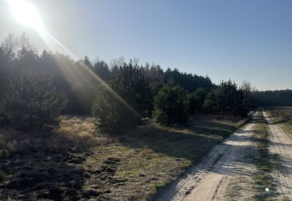 Idealne miejsce na dom,6241 m² blisko lasu i rzeki