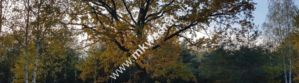 ⭐⭐⭐⭐⭐ urokliwa działka makówka 1600m ⭐⭐⭐⭐⭐