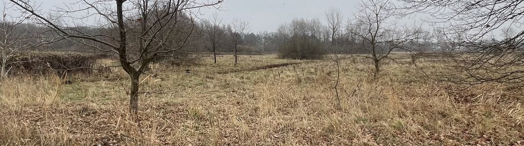 Działka usługowo-przemysłowa 5979 m² w pobliżu m1