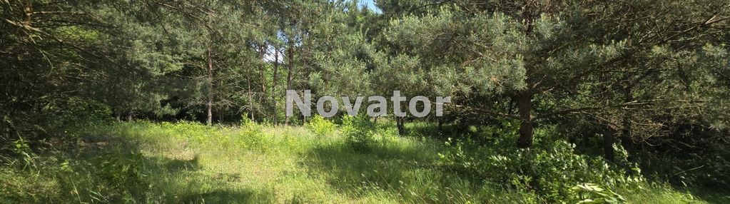 Działka w kruszynie, mpzp, przy lesie!