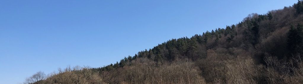 Widokowa działka na sprzedaż