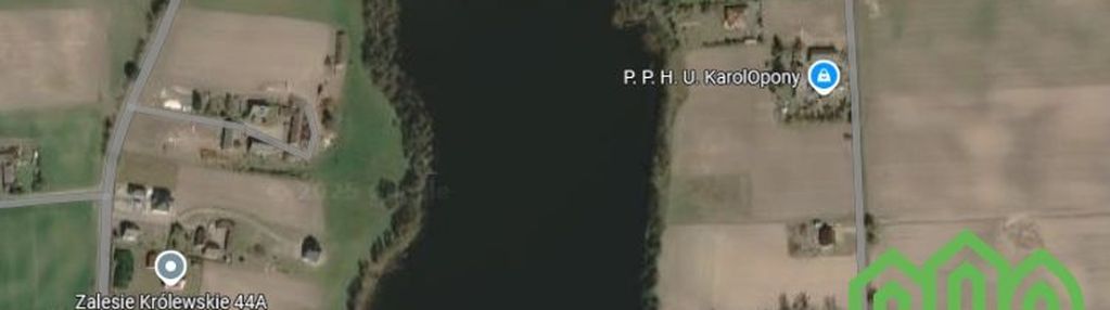 Dziłki w pierwszej lini brzegowej zalesie królews.