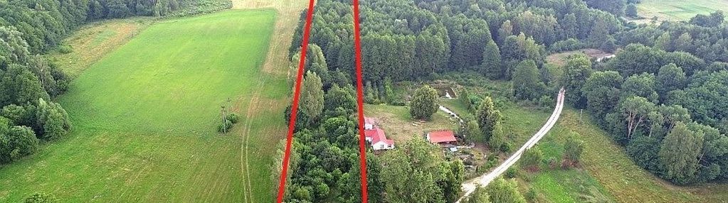 Działka pod zabudowę z lasem, byliny nowe