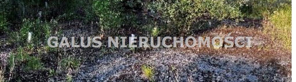 Działka  stojowice - budowlana