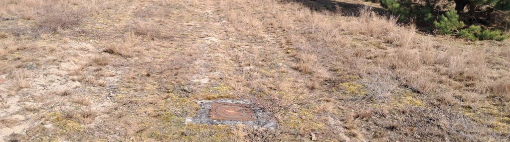 Działka 1170 m² w jaraczu –  blisko natury