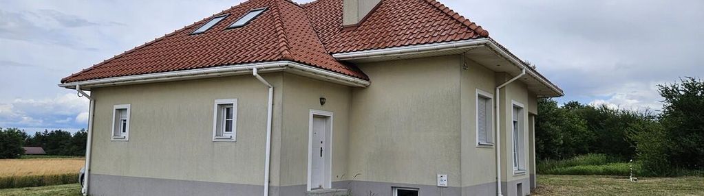 Lubzina - dom z dużą działką na sprzedaż