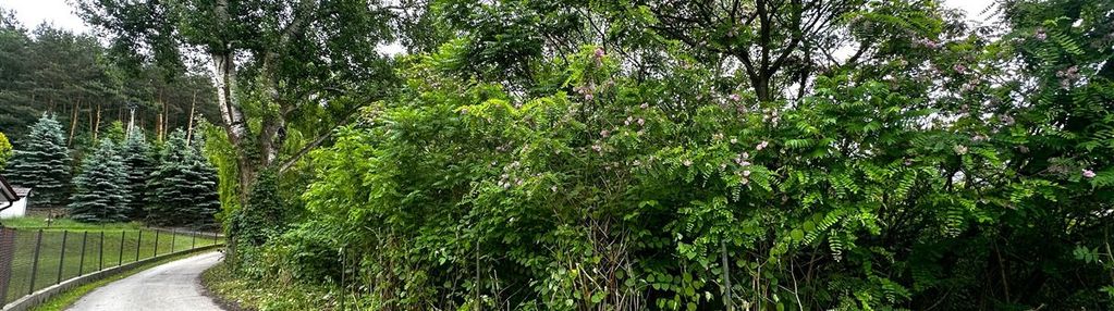 Wyjątkowa działka w otoczeniu lasu o pow. 49a