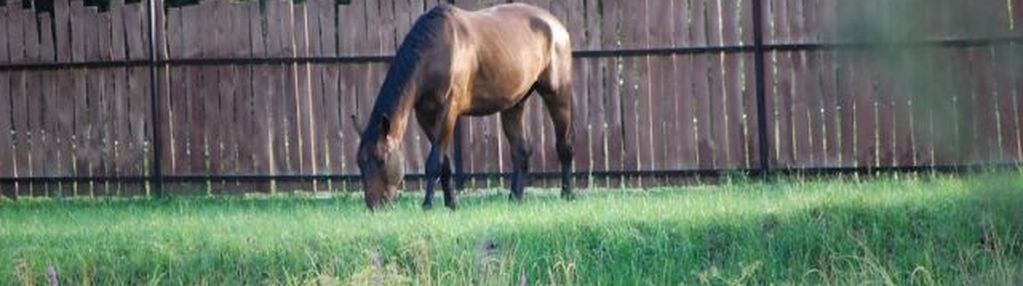 Działka ze stawem w spokojnej okolicy, 4995 m²