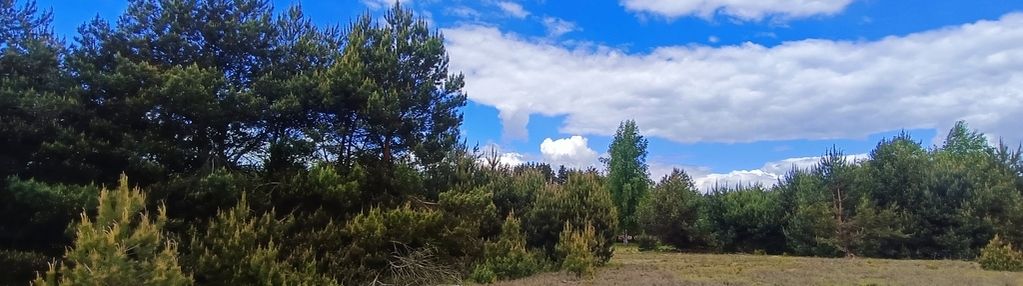 5100m2 z wz wśród zieleni.