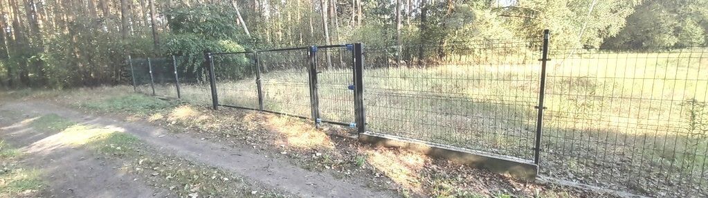 Działka w środku lasu