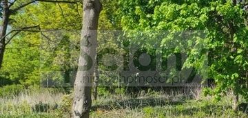 Możliwa zabudowa szeregowa lub bliźniacza.