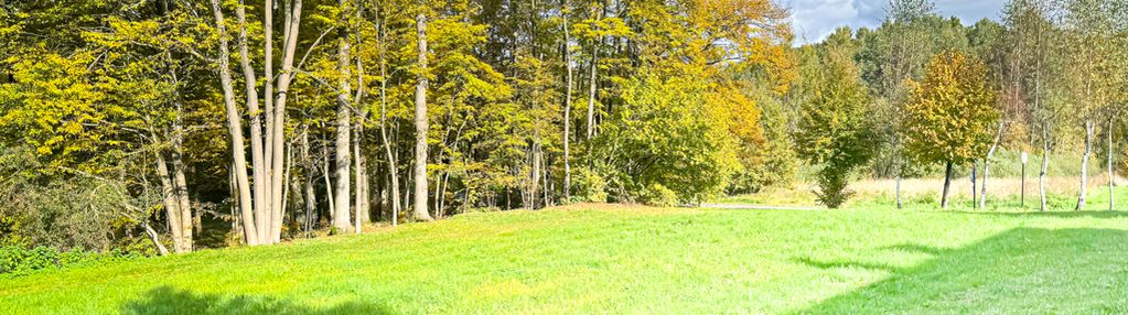 Wymarzona działka | otoczona lasem | prywatny staw