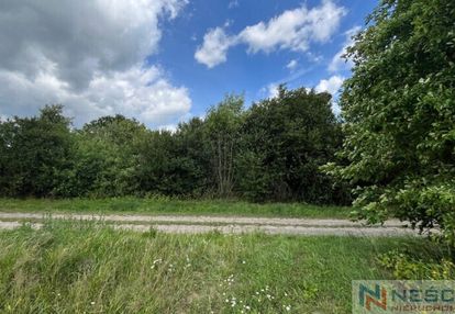 Działka z potencjałem w teodorowie