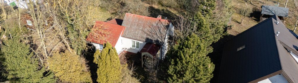 Rzut beretem do zalewu cieszkowskiego - trzepnica