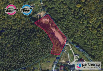 Wyjątkowy teren otoczony lasem polana bernadowo