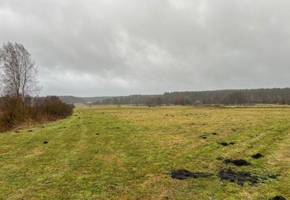 Przy lesie przepiękna działka z 2 stawami