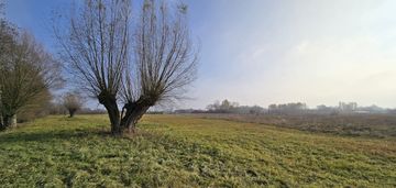 Działka pod siedlisko 8000 m2, wilczkowice dolne